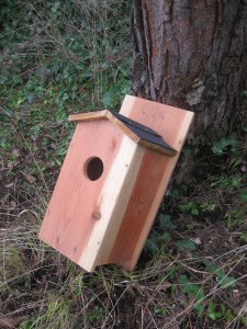 owl nesting box