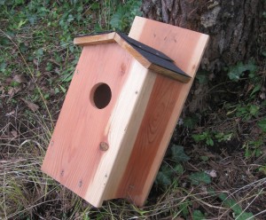 Screech Owl Nesting Box